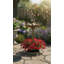 Plastic Birdbath-994077795