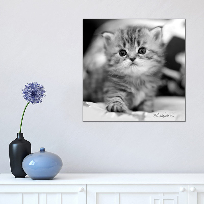 Mine 1 Piece Wall Art on Canvas, 45.72 cm H x 45.72 cm W x 1.91 cm D, Wrapped Canvas