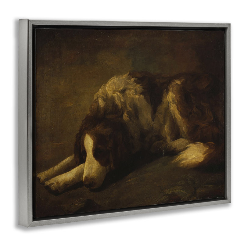 Cadre flottant pour chien Dim Light, design par Lil 'Rue, Cadre flottant gris lustré, H 17 po x l 21 po