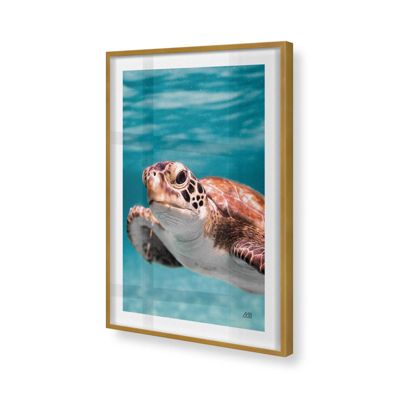 Imprimé Sea Turtle's Path II, H 15,25 po x l 12,25 po, Cadre photo doré simple