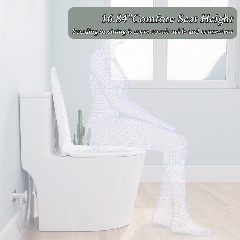 White Ceramic Dual-Flush Elongated One-Piece Toilet