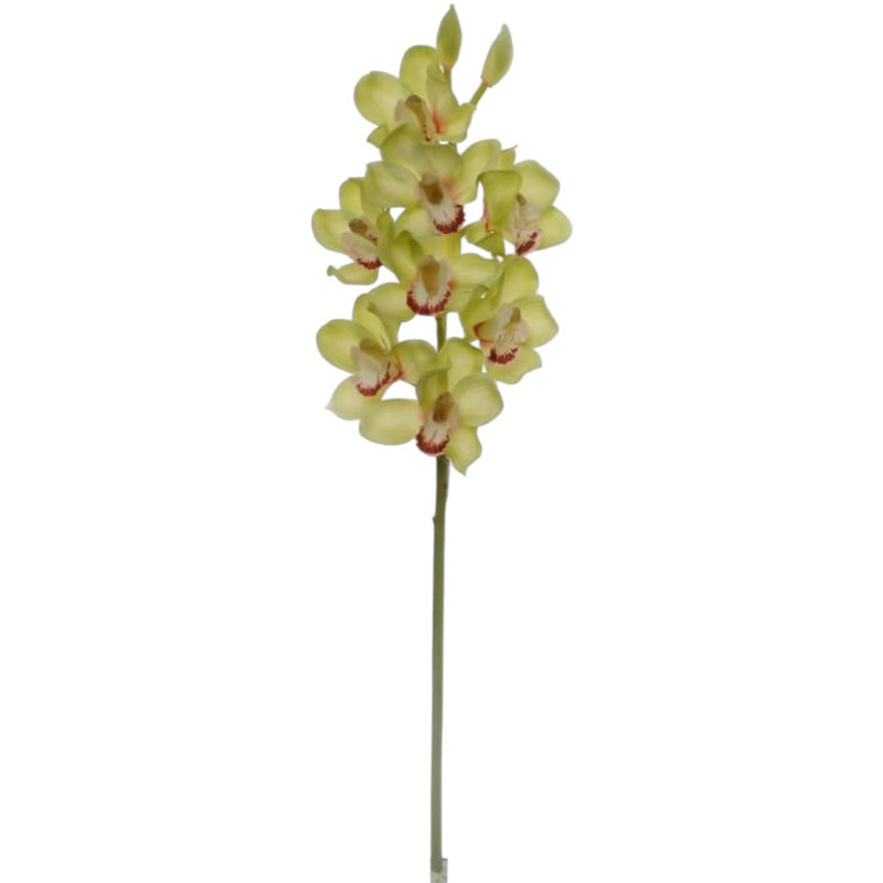 30" Cymbidium Orchid Stem - 3 Pack