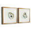 «Old Salt Shell I», ensemble de 2 reproductions d'art encadrées-2048829127-2118285822-2126001041