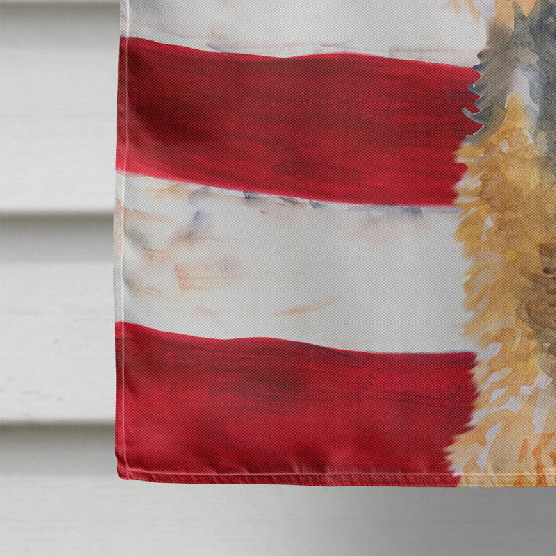 Drapeau de maison en polyester à 2 côtés Shahnur, Terrier gallois orange