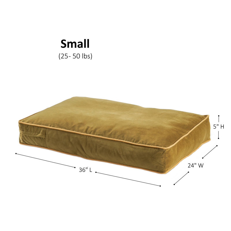 Lit pour chien Olivarez Classic, Petit (L 36 po x l 24 po x H 5 po), Moss