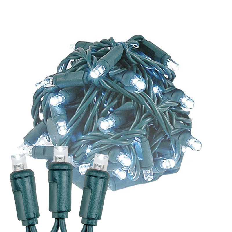 Outdoor 100 - Bulb 50'' Plug-in LED Wide Angle LED String Light, Green, Pure White