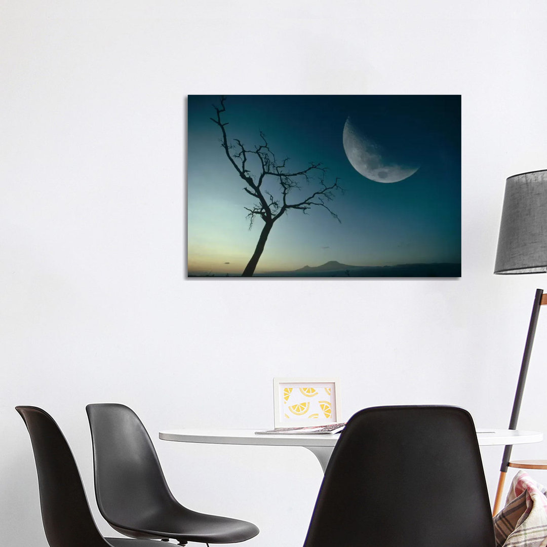 Whistling Thorn And Moon, Amboseli National Park, Kenya by Gerry Ellis - Wrapped Canvas Print