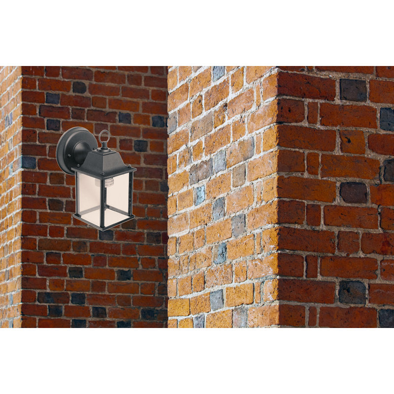 Lanterne murale d'extérieur 1 lumière Neligh