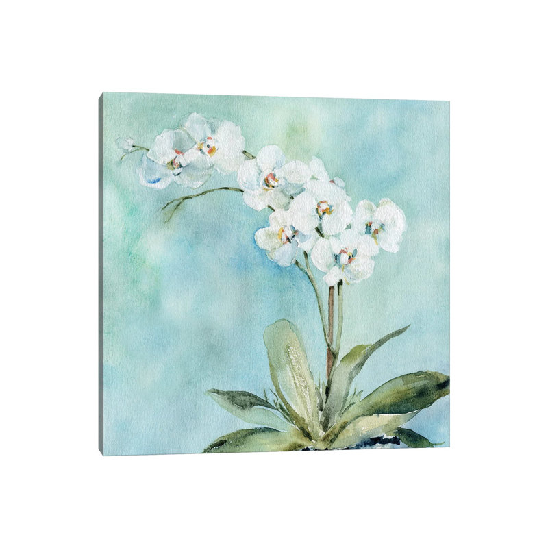 Orchidée ensoleillée par Carol Robinson-impression, Pas de tapis, Toile tendue, H 12 po x l 12 po x P 1,5 po