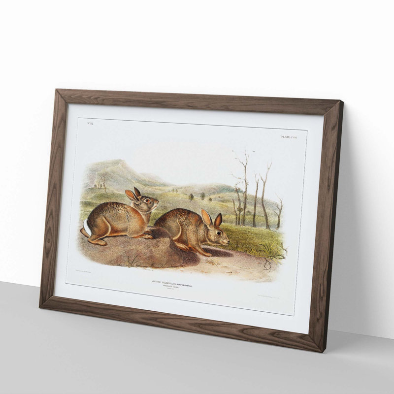 Bachmans Hares by J.W. Audubon - Picture Frame Painting Print, 27cm H x 36cm W x 2cm D, Walnut Framed