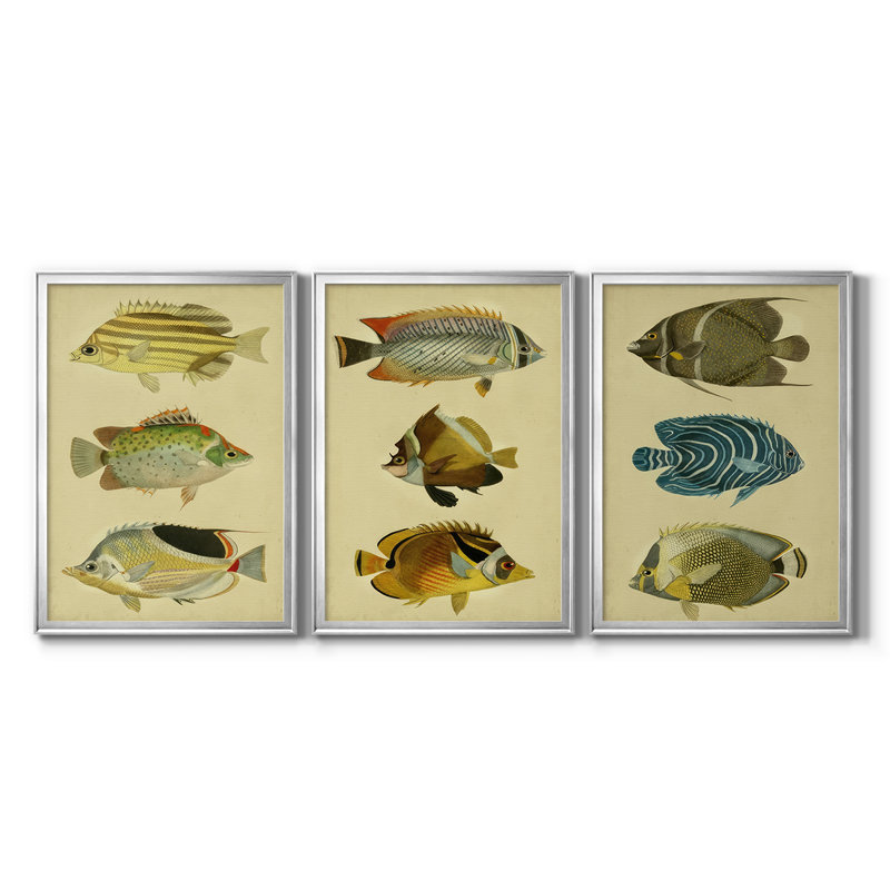 Trio de poissons tropicaux I - Toile tendue avec châssis sur mesure - 3 pièces, H 27 po x l 39 po, Argent argent