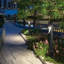 Beata Bollards