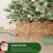 Rattan Tree Collar-137655576