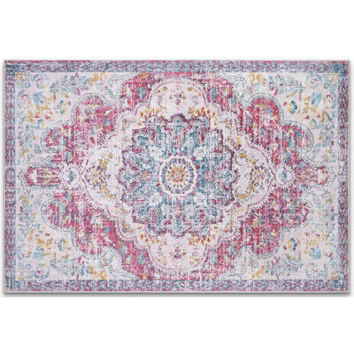 Dianeli Washable Area Rug Low-Pile No-Slip Indoor Oriental Rug