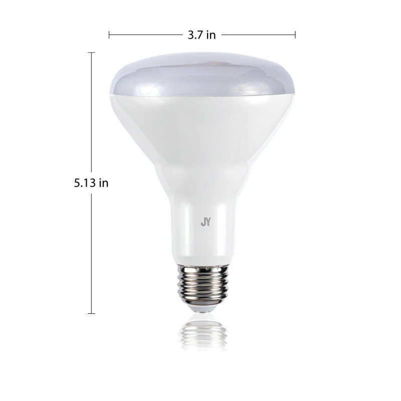 Roosendaal 9,5 watts, ampoule DEL intelligente, à intensité variable, blanc réglable E26 / base moyenne (standard)