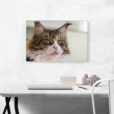 " Maine Coon Cat Home Decor "