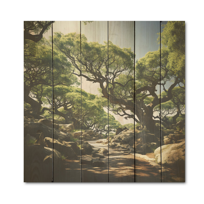 Sentier près du bois en Grèce - Art de chêne sur bois de pin naturel, H 36 po x l 36 po