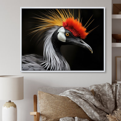 " Africa Crowed Cranes Beauty I "