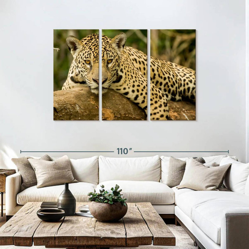 Brampt Intense Jaguar Gaze, 48" H x 74" W