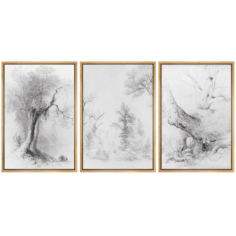 «Arbre éthéré, forêt, dessin au trait, paysage naturel, illustrations, art moderne, décor rustique et relaxant», 3 pièces