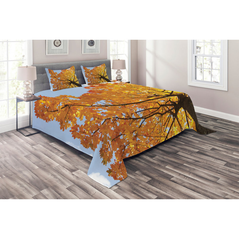 Farmhouse / Country Polyester Coverlet