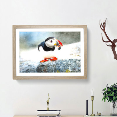 Atlantic Puffin - Picture Frame Painting Print