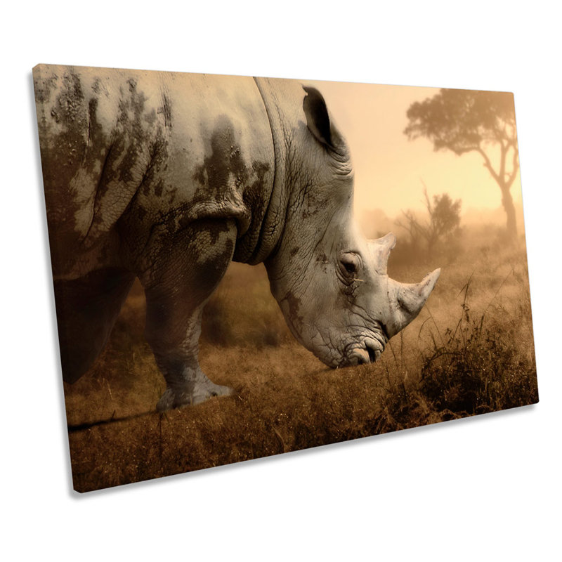 Rhino Sunset - Wrapped Canvas Print, 40.6cm H x 61cm W x 2cm D
