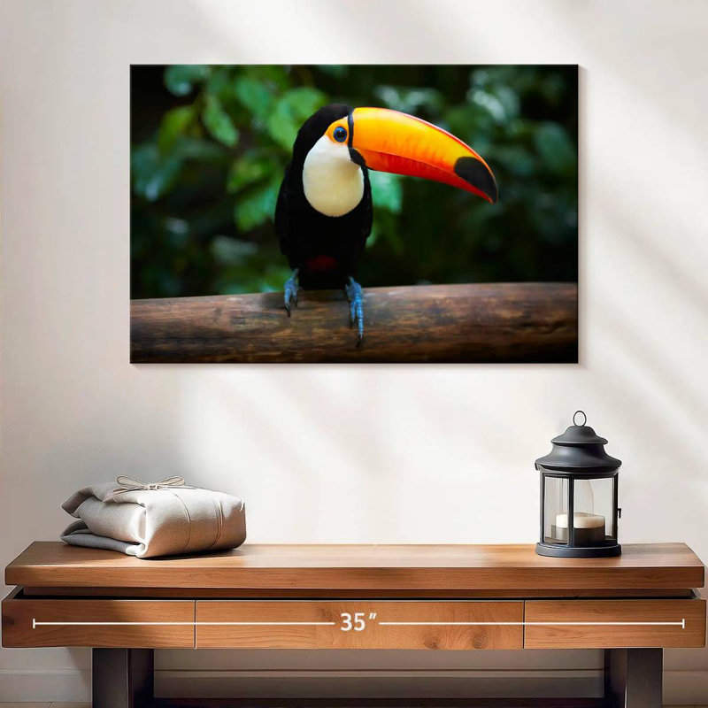 Brampt Brazilian Toucan, 16" H x 24" W
