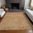  Machine Washable Indoor/Outdoor Chayden ACN1030 Rug-209295194
