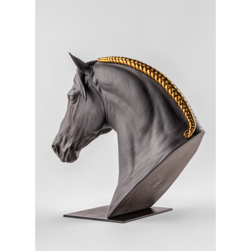 Equinus