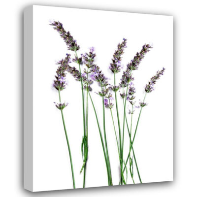 Art sur toile tendue avec Lark Manor ™ Prime, Marcus Gallery: Lavender Desires