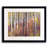 Swan Valley Autumn Portrait #2 Print by Bruce Heinemann