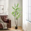 Arbre à feuilles artificiel 180 cm