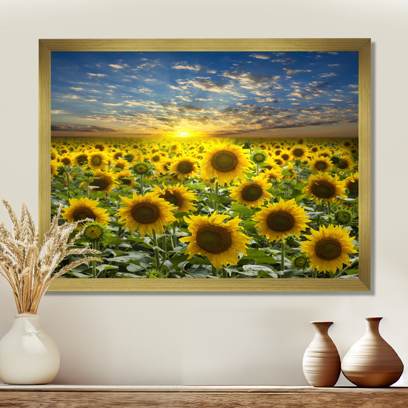 Field of Blooming Sunflowers' Photograph, 34" H x 44" W, Floater Framed, White
