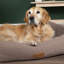 Scruffs Seattle - Luxury Dog & Cat Bed -92663485-92663488