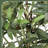 Olive Tree in Pot with Realistic Leaves and Natural Trunk,Olive Plants with Fruits for Home Decor-1085153568