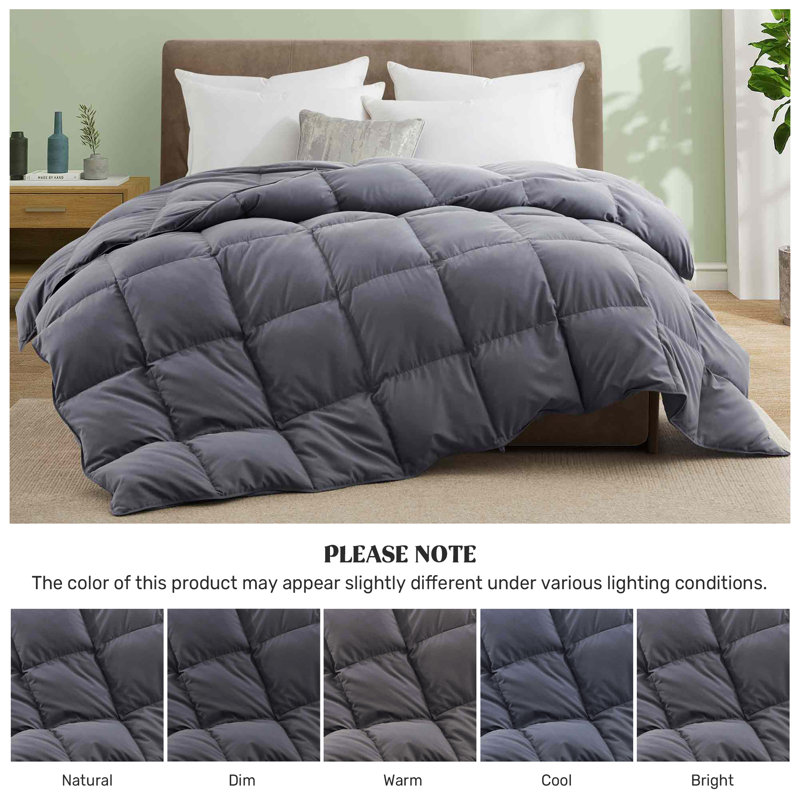  Soft All-Season Down Feather Fiber Comforter - Cozy, Fluffy Duvet Insert with Corner Tabs for Secure Fit, Dark Gray