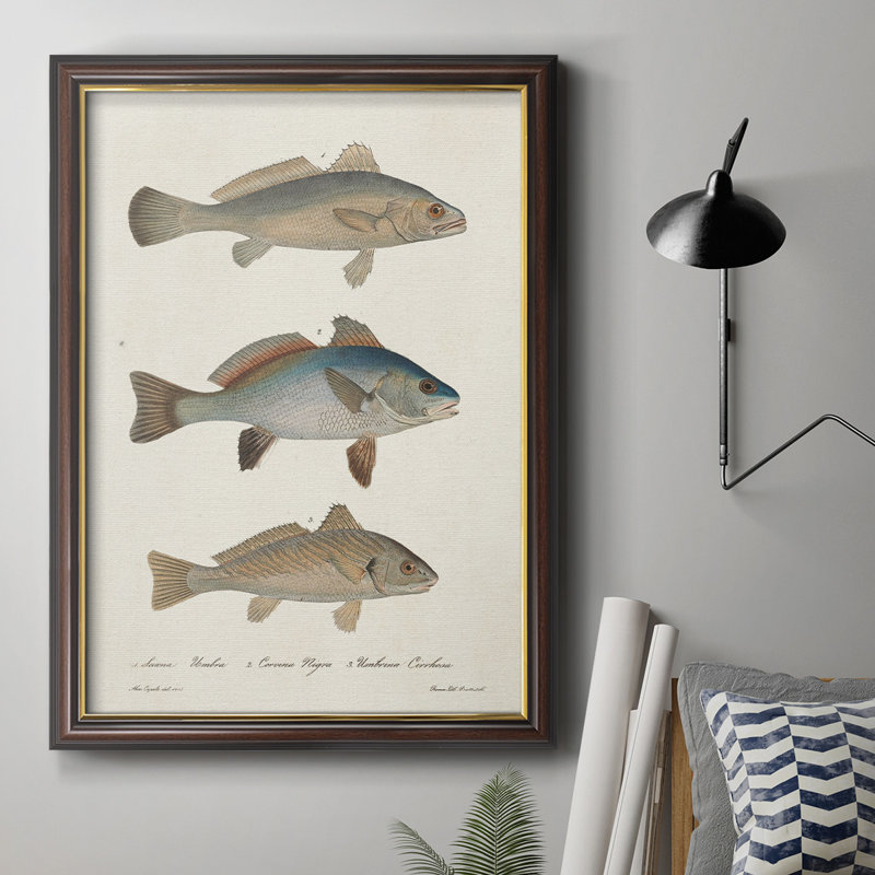 " Species Of Antique Fish III ", 27" H x 18" W x 2.5" D, Gold Trim Frame