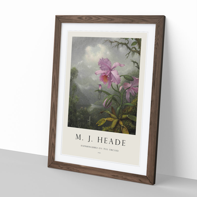 Hummingbird on the Orchid Plant by Martin Johnson Heade - Picture Frame Painting, 36cm H x 27cm W x 2cm D, Walnut Framed