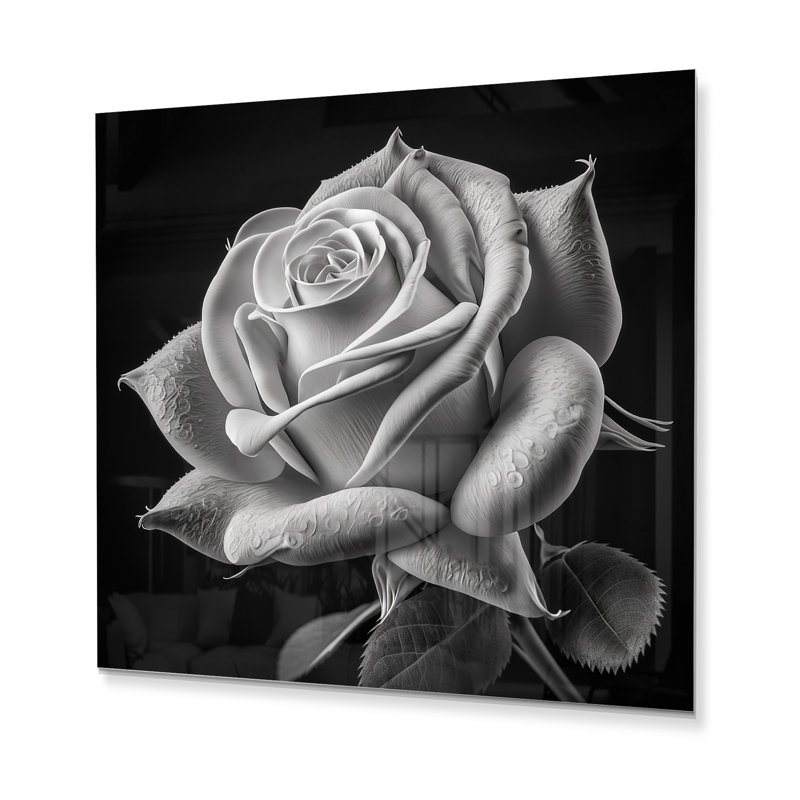 Haislee Plants & Flowers Wall Decor on Metal, 36" H x 36" W x 1" D