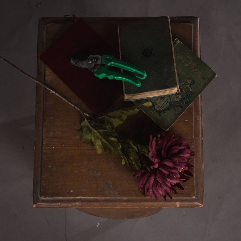 Anastasija Arrangement