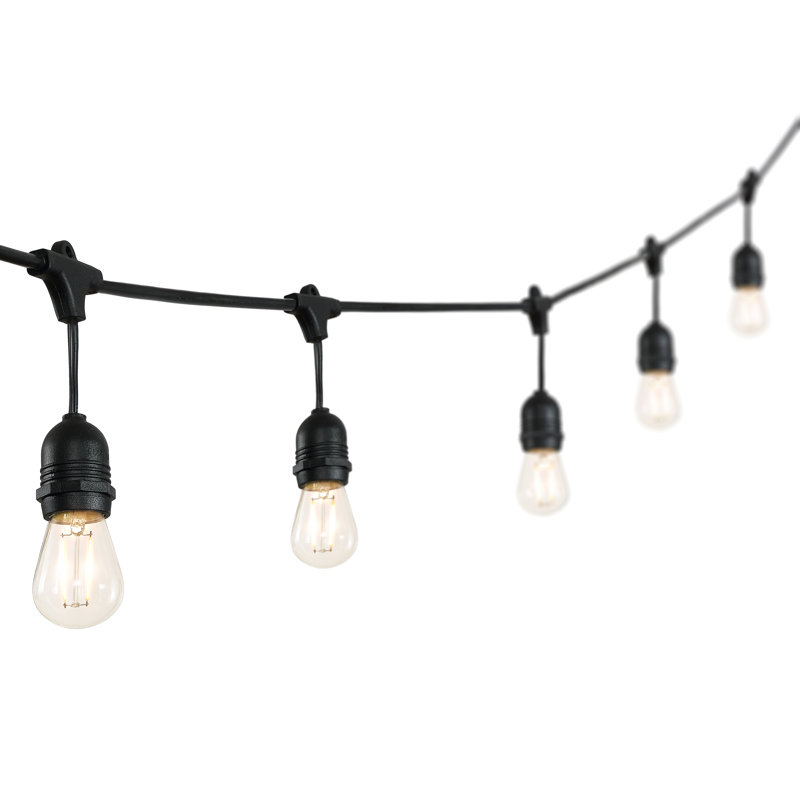 Beant 48' Outdoor 15 - Bulb Standard String Light (End to End Connectable)