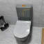Toilette anti-odeur silencieuse à double chasse grise (siège inclus)