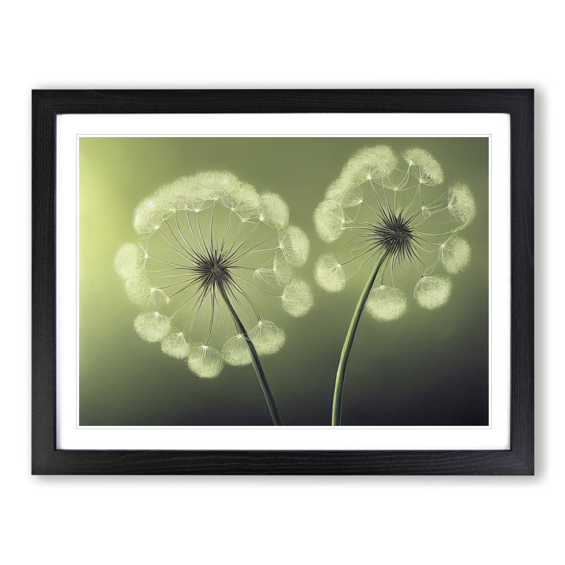 Soulful Dandelion Flowers - Framed Print, 46cm H x 64cm W x 2cm D, Black