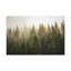 «Misty Pine Tree Forest Nature Wilderness», reproduction d'art sur toile-1621297237