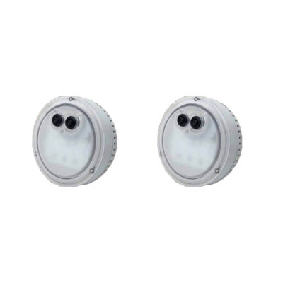 Intex Light in White