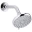 Awaken Multifunction Fixed Shower Head-1391152505