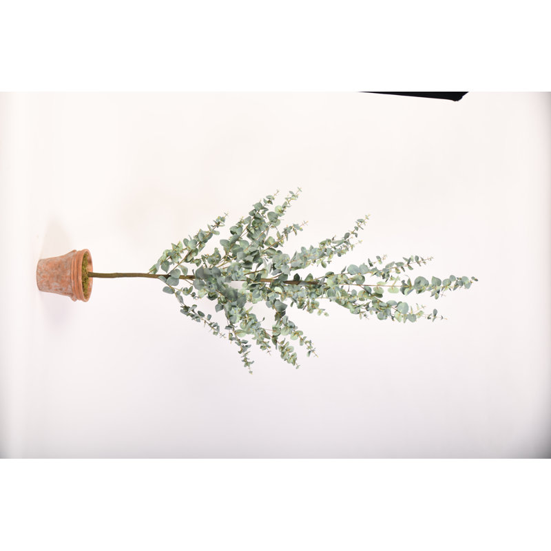 Faux Eucalyptus Tree in Terra Cotta Planter