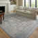 Oriental Indoor Rug
