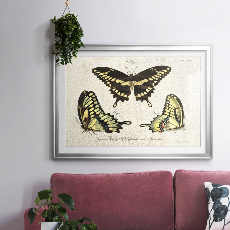«Crackled Butterflies I», impression sur papier, Or, H 19 po x l 27 po x P 1,5 po